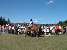 tinutul secuiesc, program, vile